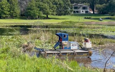 Expert Lake & Pond Maintenance in Bradenton & Sarasota: Why Professional Management Matters in 2026