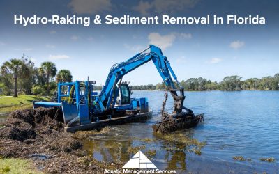 Hydro-Raking & Sediment Removal in Florida: Restore Your Lake or Pond Naturally