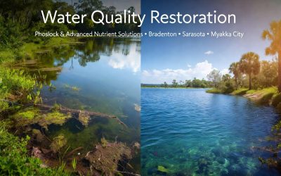 Water Quality Restoration for Lakes & Ponds in Bradenton, Sarasota & Myakka City, FL