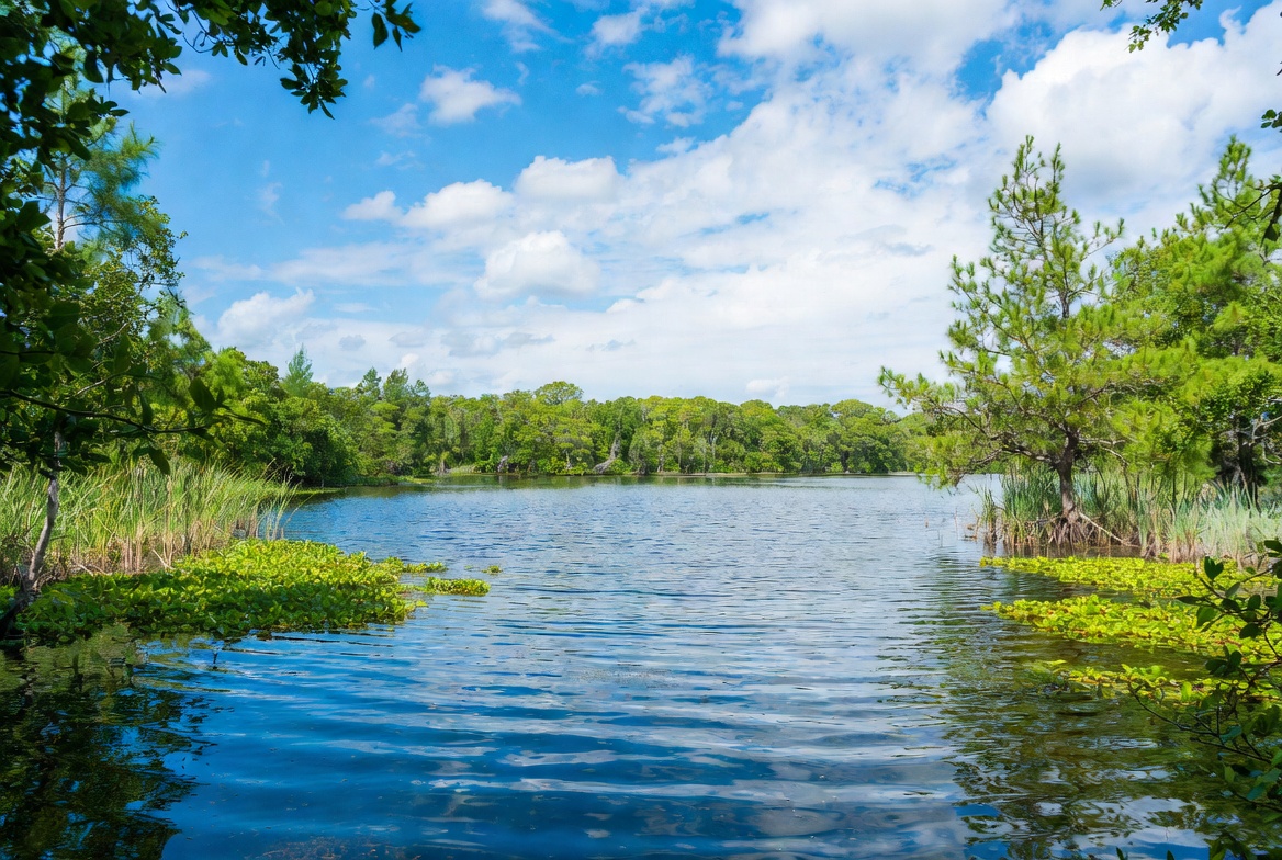 Lake and Pond Cleaning Services